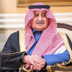 رئيس جامعة طنطا بجمهورية مصر يشارك في احتفال سفارة دولة الإمارات بعيد الاتحاد ال45