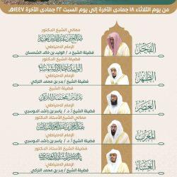 الدكتور محمد سيد طنطاوي