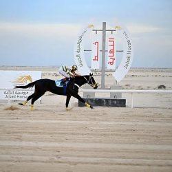 اليونسكو تعلن دعمها الرسمي لإطلاق الجائزة العالمية للجودة والتميّز في التعليم خلال اليوم الدولي للتعليم 2026