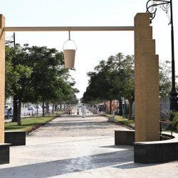 التطوع الاحترافي: استثمار للمستقبل