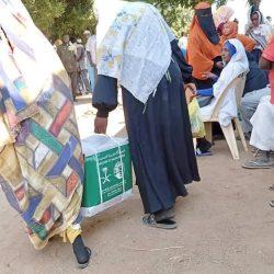 استشهاد لبناني وإصابة آخر في غارة إسرائيلية ببلدة جويا