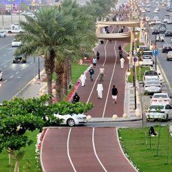 دوريات الأفواج الأمنية بمنطقة جازان تُحبط تهريب 268 كلجم من نبات القات المخدر