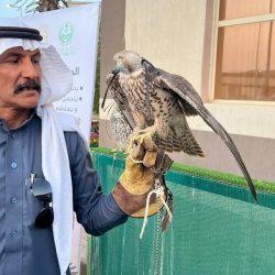 الرئيس التونسي يقرر تمديد حالة الطوارئ في البلاد إلى نهاية 2026