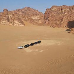 مبادرات نوعية وإنسانية تطلقها جامعة ومؤسسة الأمير محمد بن فهد