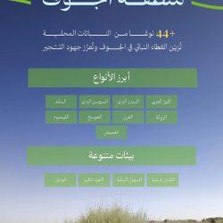 جدة تحتضن المؤتمر السعودي الأول لأمراض النساء والخصوبة (GFS) بمشاركة أكثر من 40 خبيرًا دوليًا