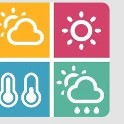 “الأمن البيئي” يضبط مخالفًا لنظام البيئة في محمية الملك عبدالعزيز الملكية