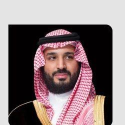 الطاقة المتجددة تتجاوز 60 % من قدرة الطاقة في الصين خلال 2025