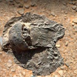 استناداً لتوجيه معالي وزير الشؤون الإسلامية بتخصيص خطبة اليوم بعموم المملكة – خطباء الجوامع يؤكدون على أهمية المحافظة على نظافة الأماكن العامة ومواقع التنزه البرية، والتحذير من تلويثها وترك المخلفات فيها