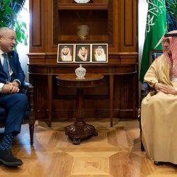 مدير الأمن العام يستقبل وفدًا أمنيًا من شرطة باريس