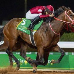 تأهل الكبار في بطولة كأس أفريقيا