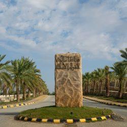 “ولادة مكة” يجري فحص ما قبل الزواج لـ 6100 متقدم خلال عام