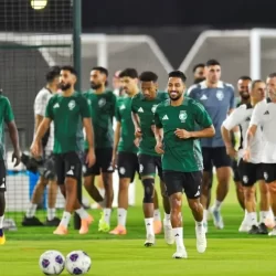 انطلاق الجولة الـ17 من الدوري السعودي للمحترفين غدًا