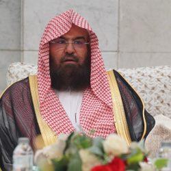 وزير الخارجية المصري يسلّم رسالة خطية من رئيس الجمهورية إلى الرئيس التونسي تؤكد خصوصية العلاقات بين البلدين والتطلع لتعزيز التعاون الثنائي في مختلف المجالات