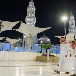 ( القيادة تبدأ من الداخل: الثقافة قبل التدريب)