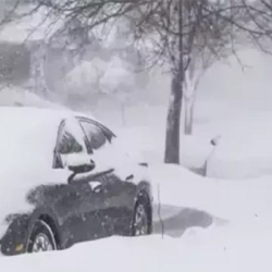 الشتاء… حين تصنع الحكمة الرجال