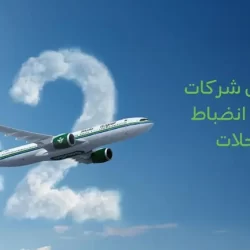 أكثر من (8.000) طالب وطالبة يتمّون حفظ القرآن الكريم في حلقات المسجد النبوي خلال عام 2025م