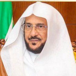 العلاقات المصرية الأمريكية تشهد تطورا كبيرا منذ عام 1979