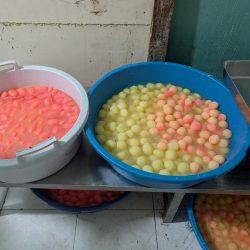 تواصل أعمال الدورة العلمية الشتوية بالمسجد الحرام