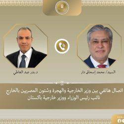 وزارة الخارجية المصرية تطمئن على أوضاع الجالية المصرية في فنزويلا