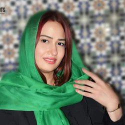 ” الدبلوماسية العامة ” في كتاب