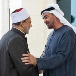 الرئيس عبد الفتاح السيسي يستقبل رئيس الاستخبارات الخارجية بروسيا الاتحادية