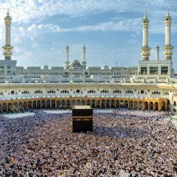 طلبة تعليم الطائف يحققون ثلاث جوائز في جائزة الشيخ محمد بن صالح بن سلطان للتفوق والإبداع