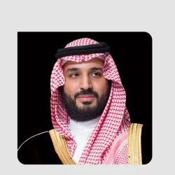 وزير الخارجية المصري يبحث هاتفيًا مع عددٍ من نظرائه والمبعوث الأمريكي مستجدات الأوضاع في المنطقة