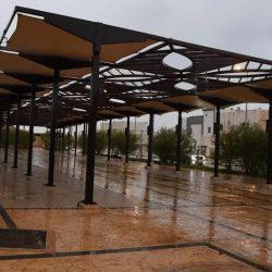 الأمن البيئي يضبط مخالفًا لنظام البيئة في محمية طويق الطبيعية