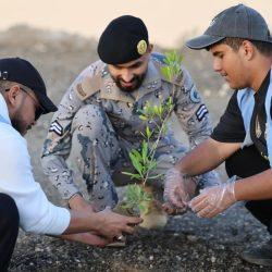 الدفاع المدني بالمدينة المنورة يكثف جولاته التفتيشية