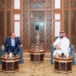 الرئيس عبد الفتاح السيسى يصل الى المملكة العربية السعودية