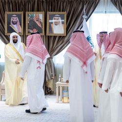 يوم التأسيس .. تاريخنا سيادة / قيادة / تجديد