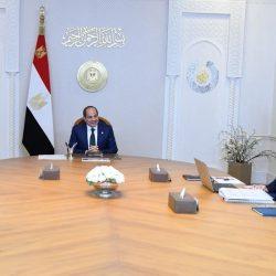 وزير الخارجية المصري يلتقي رئيس وزراء دولة فلسطين على هامش القمة الأفريقية في أديس أبابا