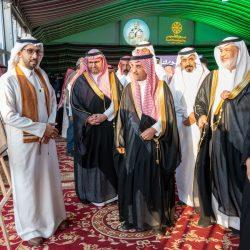 “شؤون الحرمين”: 8 آلاف عربة لخدمة ضيوف الرحمن في المسجد الحرام