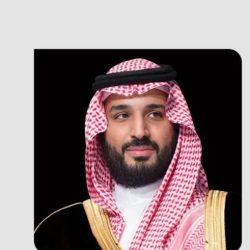 وزيرا خارجية باكستان وتركيا يبحثان التطورات الإقليمية