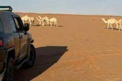 الرياض تستضيف بعد غدٍ المؤتمر الدولي الـ37 للجمعية السعودية لطب الأسنان