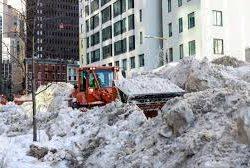 ضبط مخالف لنظام البيئة في محمية الإمام عبدالعزيز بن محمد الملكية