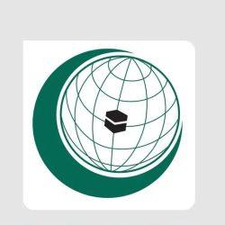 استشهاد أربعة فلسطينيين في قصف الاحتلال الإسرائيلي على جنوب قطاع غزة