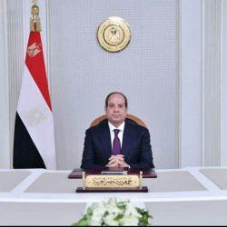 الرئيس عبد الفتاح السيسى يجرى اتصالا هتافيا بشيخ الازهر