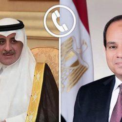 مصر تدين بأشد العبارات الاعتداء الإسرائيلي على سوريا