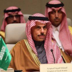 بأي عيد جئت يا عيد