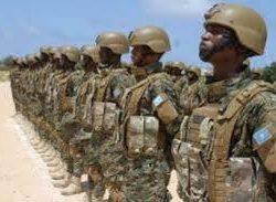 التدخل السريع ينقذ حياة ثلاثة معتمرين من حالات حرجة بمستشفى أجياد الطوارئ