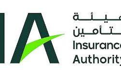 الكويت تسقط طائرتي “درون”