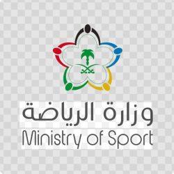 انطلاق منافسات IBA Pro 15 للملاكمة الاحترافية في سانت بطرسبورغ