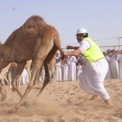 بين أثر السوشيال ميديا وابتذال الشهرة… حين يختلّ ميزان الظهور
