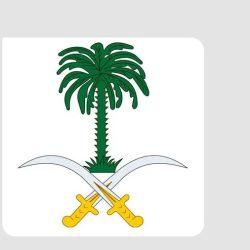 الدفاع الكويتية: القوات المسلحة رصدت وتعاملت مع 3 صواريخ و15 طائرة مسيرة