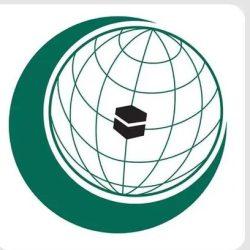 وزير الخارجية المصري يبحث مع نظيره الجامبي سُبل دعم جهود التنمية في أفريقيا