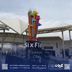 روح محلّقة… وخطوة مترددة