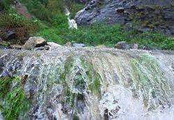 اختتام التصفيات الأولية لجائزة تنزانيا الدولية لحفظ القرآن الكريم في دورتها الـ(34) بمشاركة 26 دولة