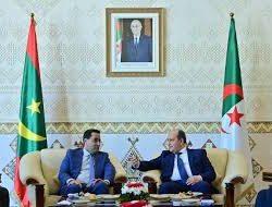 رئيس الأركان المصري يبحث مع نظيره الكونغولي التعاون العسكري