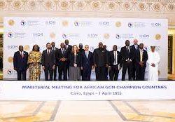 وزير الخارجية المصري يلتقي مبعوث السكرتير العام للأمم المتحدة للسودان